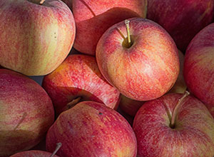 Royal Star has been operating a successful apple and cherry orchard in Ellison, BC since 1988.